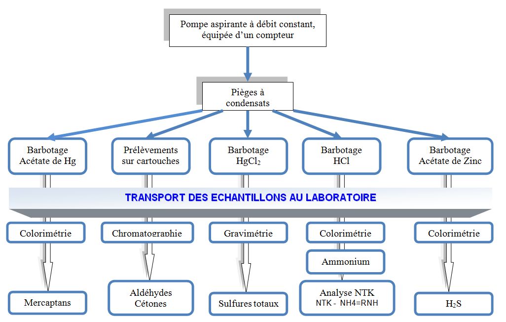 Principe analytique Paillard 1988